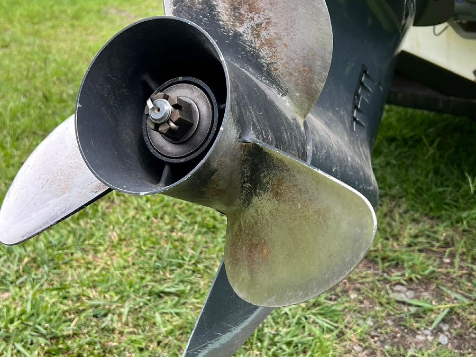 WhatsApp Image 2026-01-15 at 15.18.00 (1)